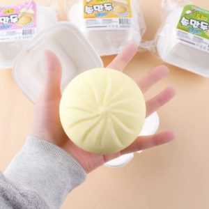 Handmade Dumpling Squishy